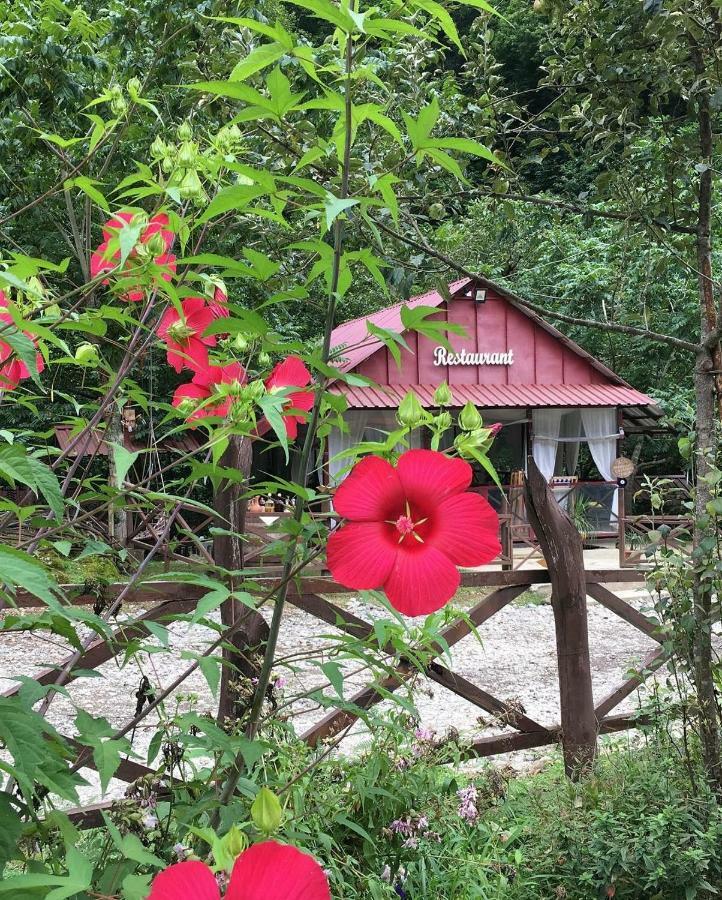 Mtirala Otel Chakvi Dış mekan fotoğraf