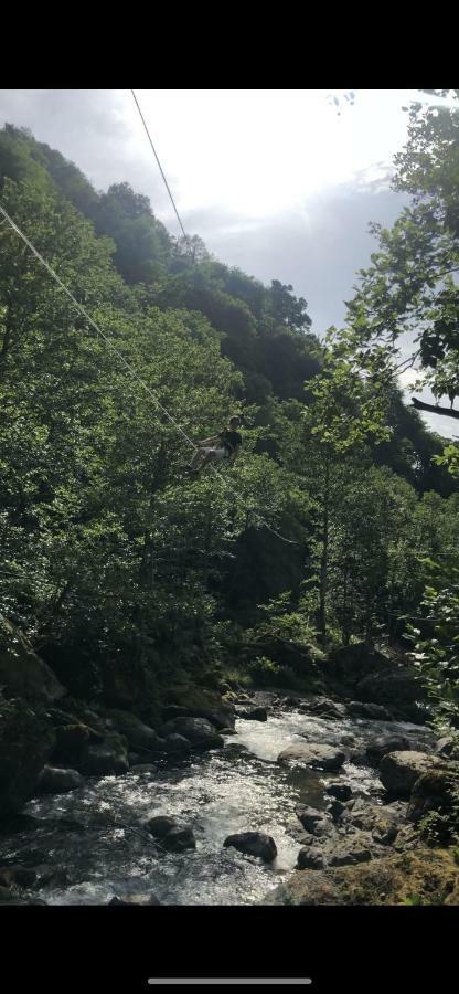 Mtirala Otel Chakvi Dış mekan fotoğraf
