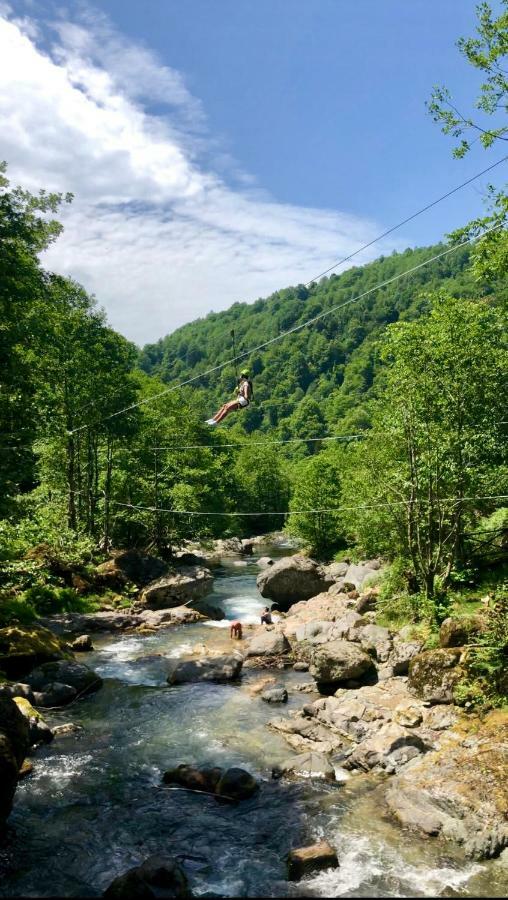 Mtirala Otel Chakvi Dış mekan fotoğraf
