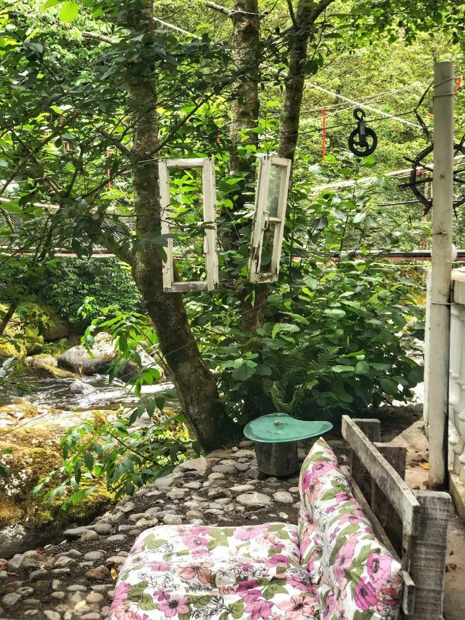 Mtirala Otel Chakvi Dış mekan fotoğraf