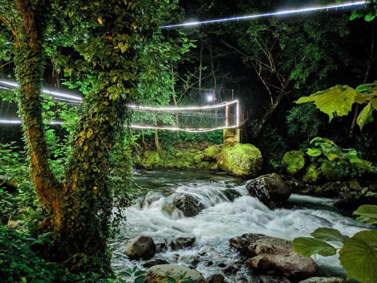 Mtirala Otel Chakvi Dış mekan fotoğraf